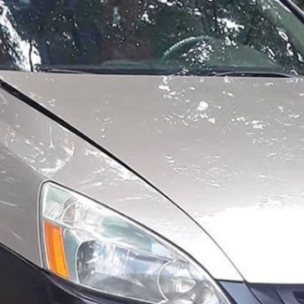 Meet your Posher, Anggie